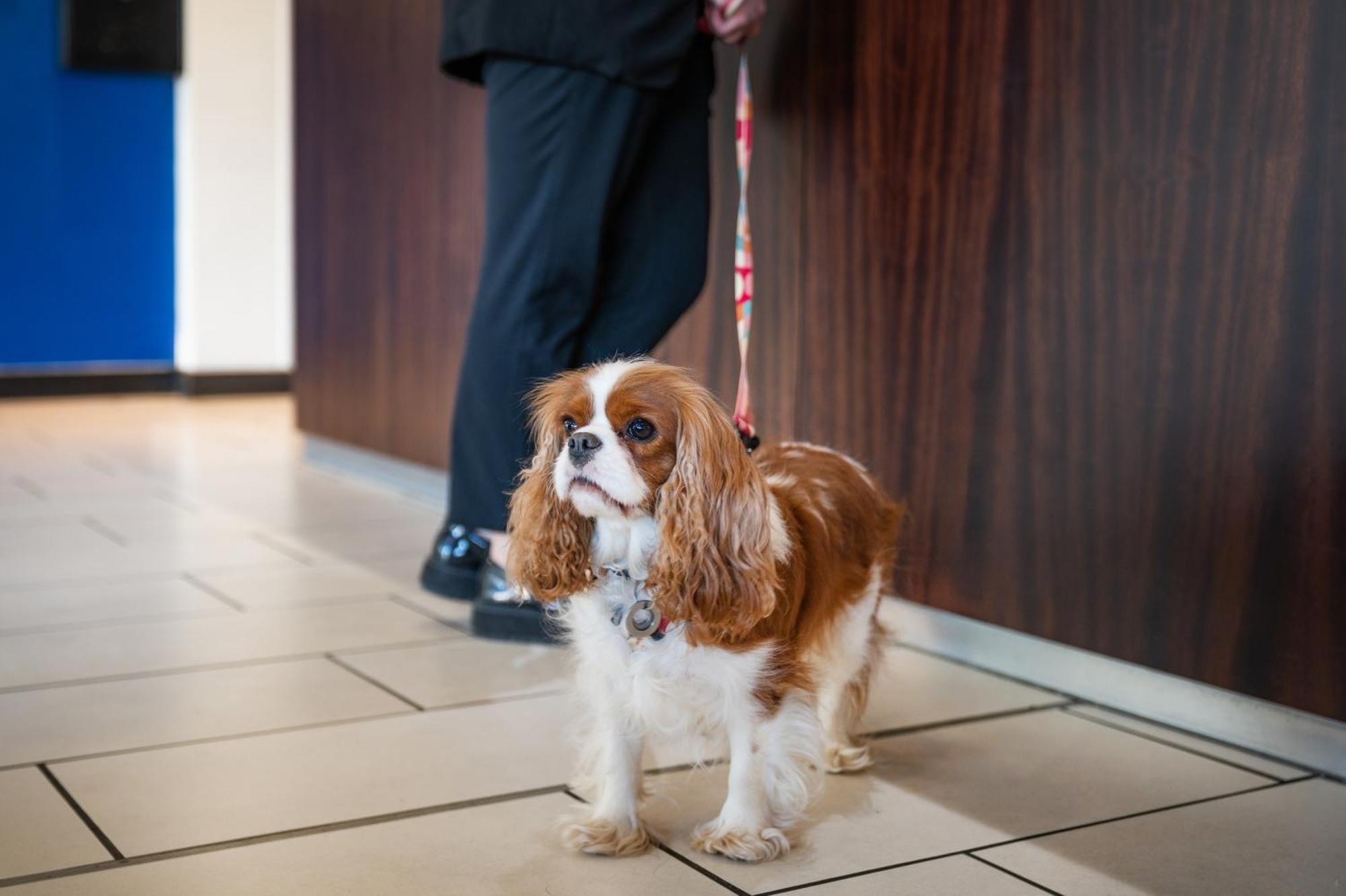 Holiday Inn Express Cambridge Duxford M11 Jct 10 By Ihg Esterno foto